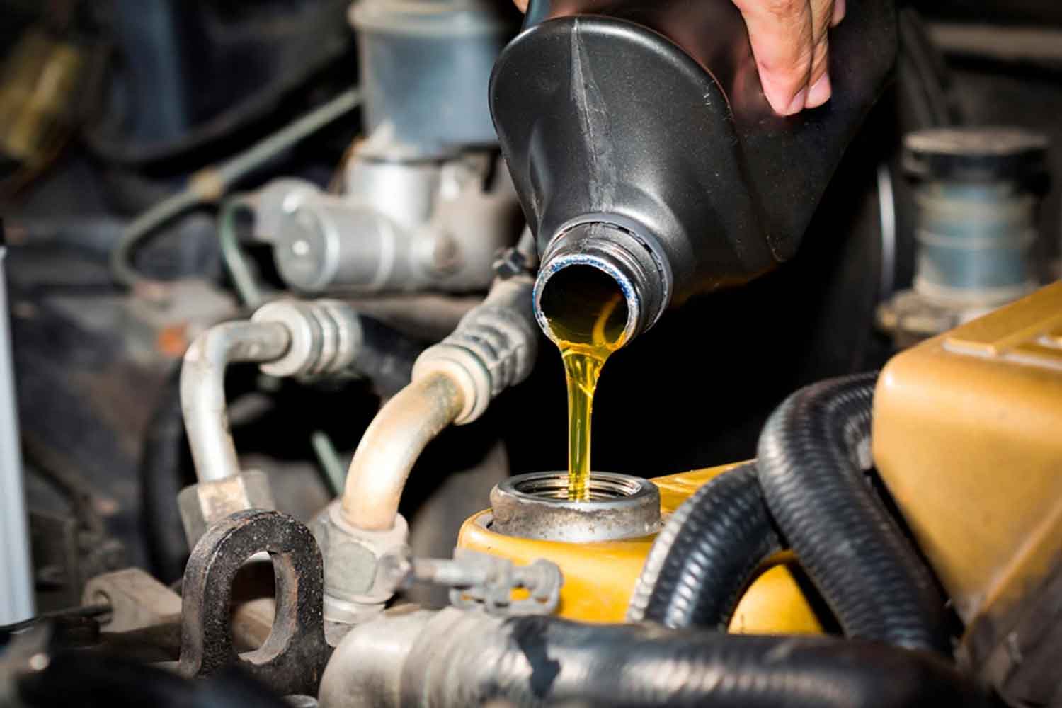 Quick oil change near me